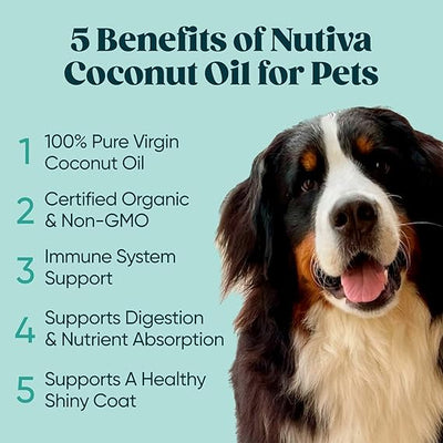 Nutiva Organic Cold-Pressed Virgin Coconut Oil, 1 Gallon, USDA Organic, Non-GMO, Whole 30 Approved, Vegan, Keto, Fresh Flavor and Aroma for Cooking & Healthy Skin and Hair